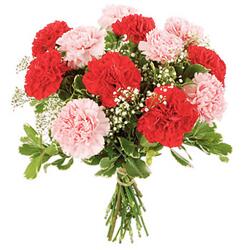 Букет розовых и красных гвоздик