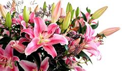 Советы по уходу за лилиями Букет из розовых лилий