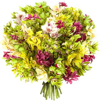 Уход за орхидеями Букет орхидей