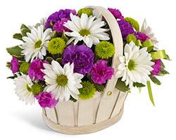 Корзина из фиолетовых и белых цветов