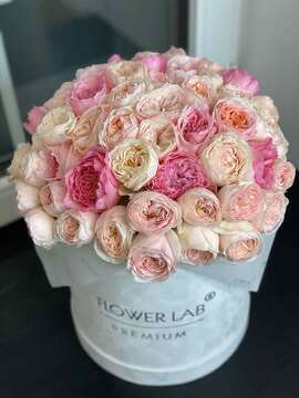 Коробка «Джульетта»