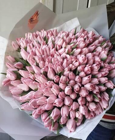 Букет «Тюльпаны», 201 шт, розовые