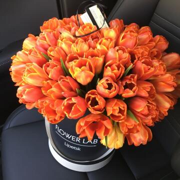 Букет рыжих тюльпанов, 75 шт