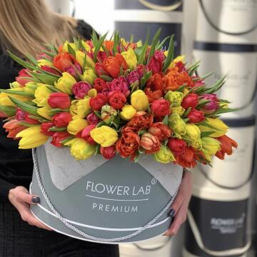 Большой букет разноцветных тюльпанов, 201 шт