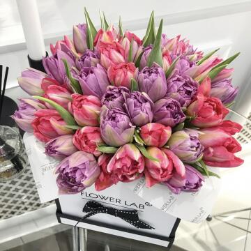 Коробка тюльпанов «Комплимент королеве»