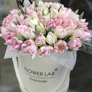 Розовые тюльпаны в цилиндре, 75 шт