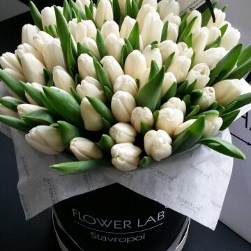 Букет 50 белых тюльпанов